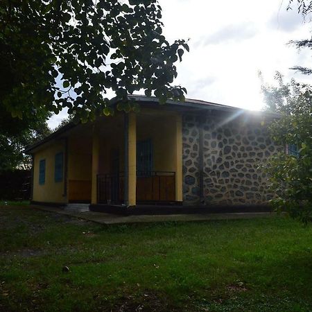 Chef Wondim Backpackers Hostel Gonder Exterior photo